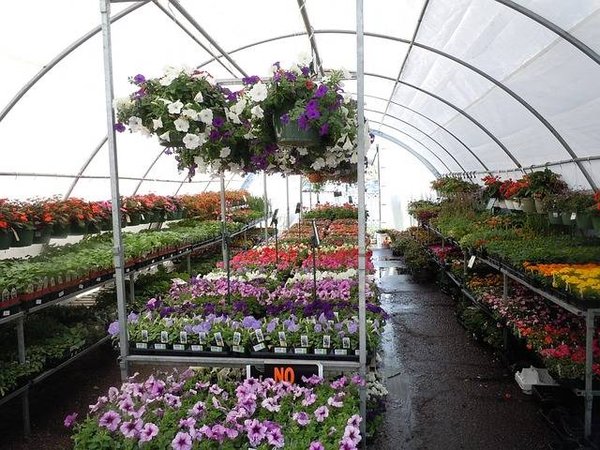 Quels sont les avantages de commander des serres de jardin en stock?