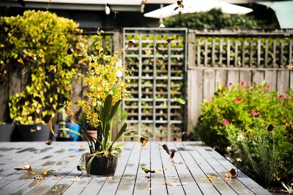 Quelles sont les tendances actuelles en matière de décoration de jardin ?