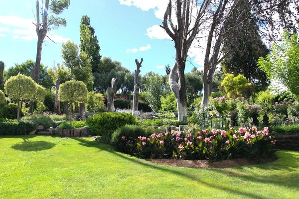 Qu'est-ce que le feng shui et comment l'appliquer à son jardin ?