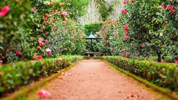 Quels sont les types de jardin et comment choisir celui qui correspond à ses besoins et à son environnement?