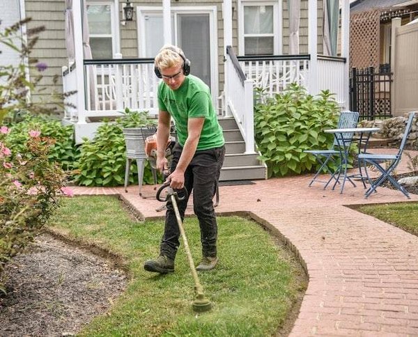 Comment entretenir son jardin tout au long de l'année ?