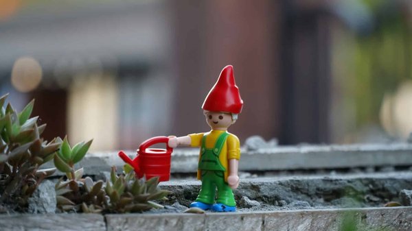 Comment nettoyer efficacement et écologiquement son jardin ?