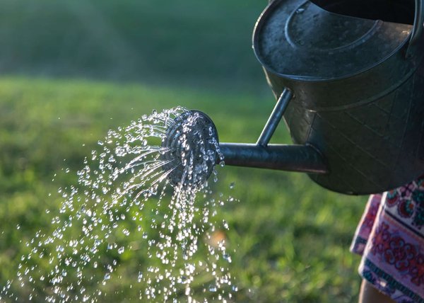 Quels sont les produits ou les outils indispensables pour le nettoyage de son jardin ?