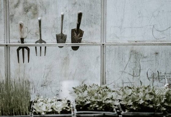 Quelles sont les erreurs à éviter lors du nettoyage de son jardin ?