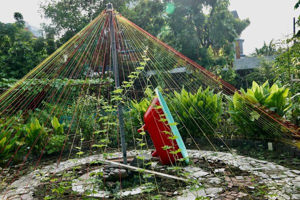 Les règles et les bonnes pratiques à suivre pour surveiller son jardin